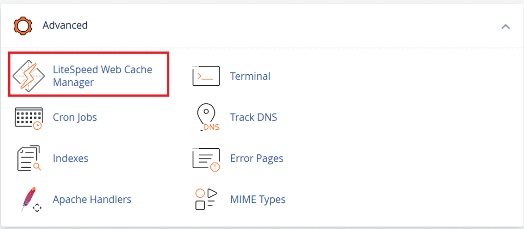 litespeed in cPanel